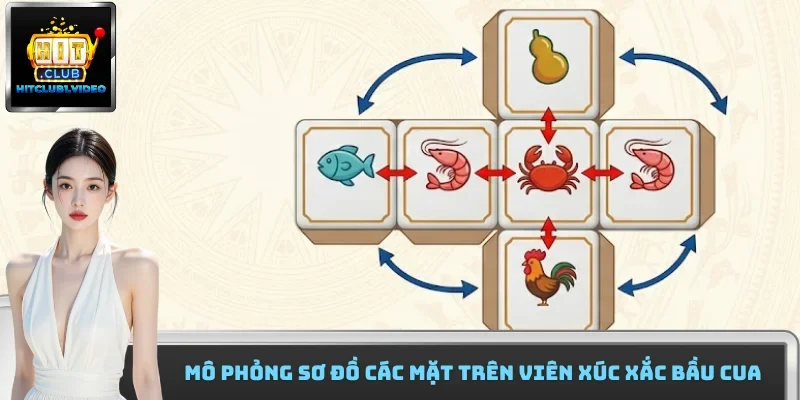 Mô phỏng sơ đồ các mặt trên viên xúc xắc bầu cua